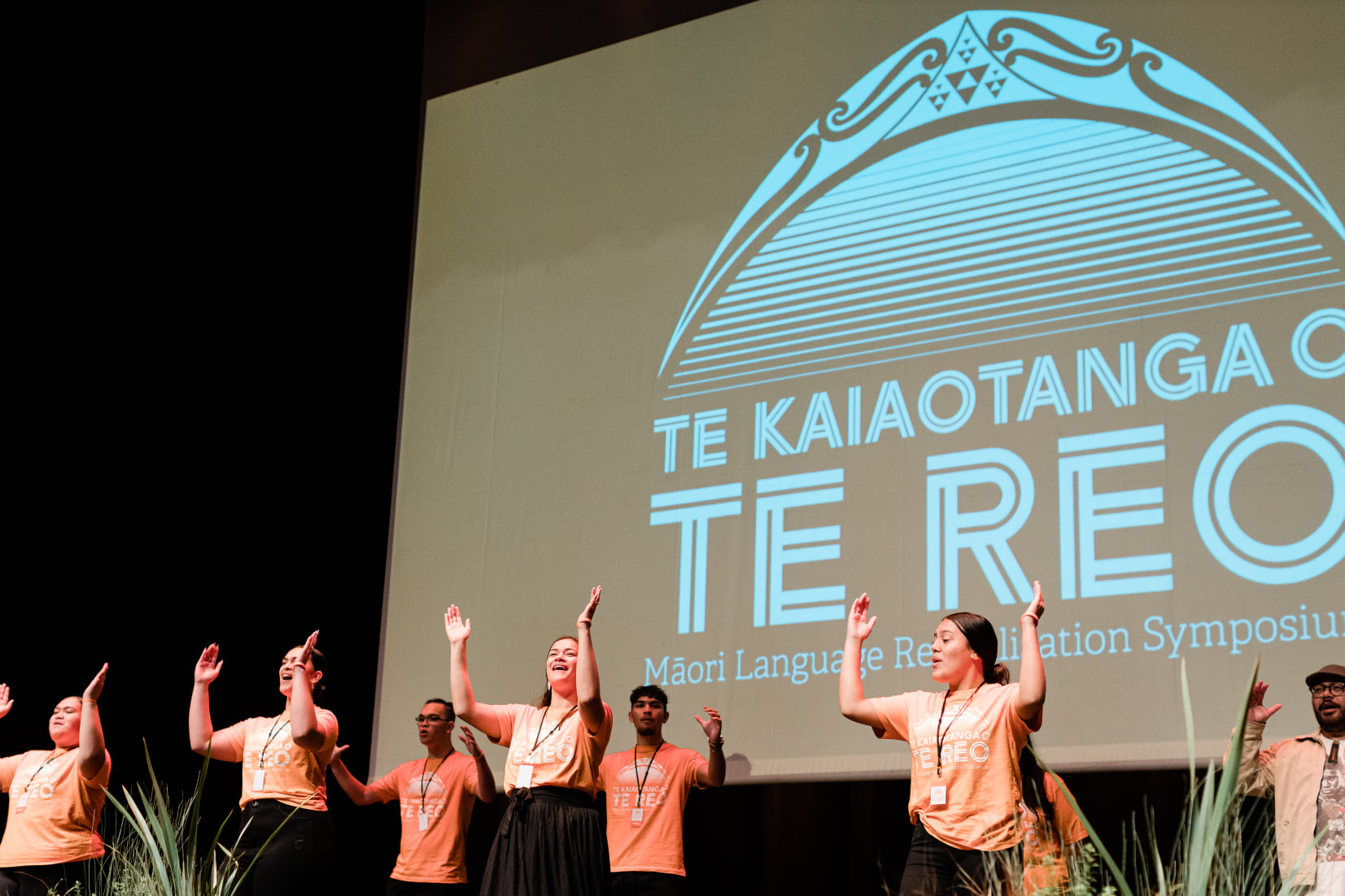 Māori Language Growth (Part 1)